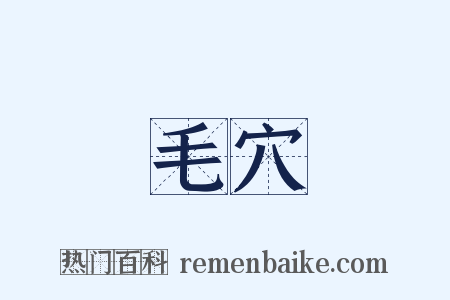 毛穴是什么意思的图片